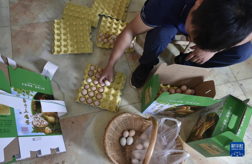 亿酷棋牌世界